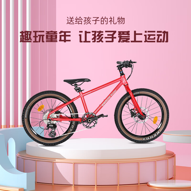 艾森姆AWSUM青少年自行车铝合金山地越